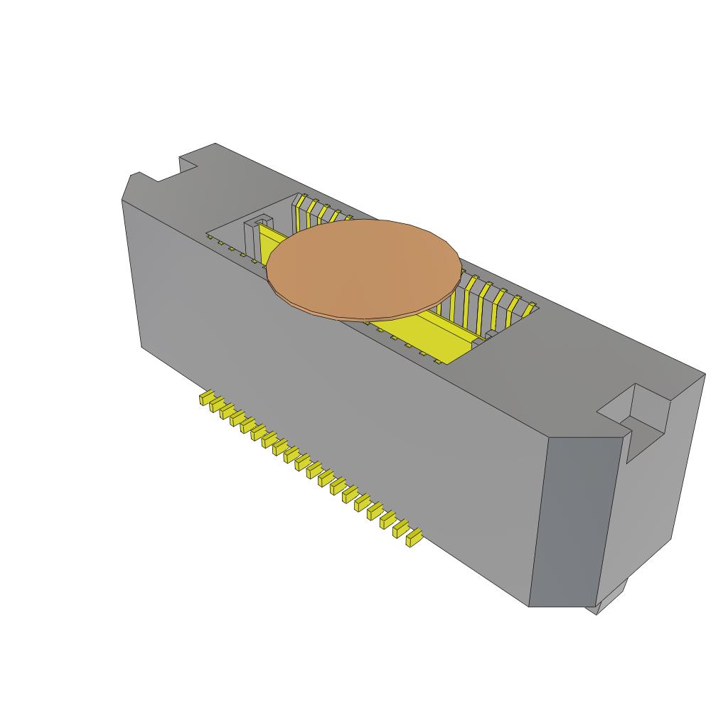 MIT-019-02-F-D-K